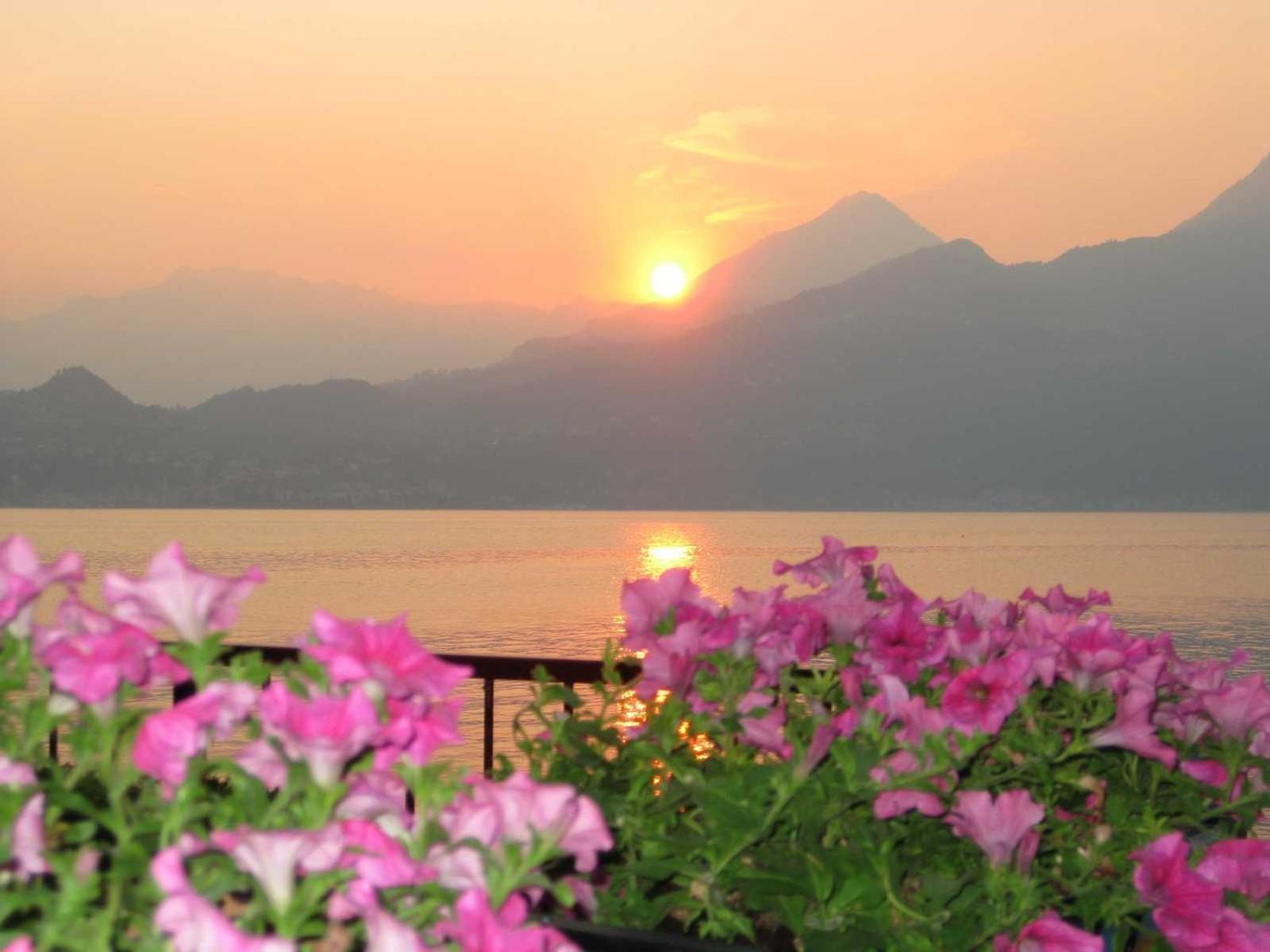 Divina Vita Apartments Varenna Buitenkant foto